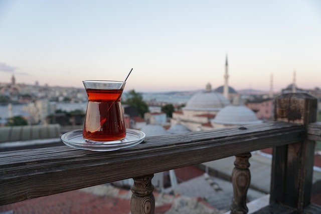 Chá turco e cultura em Istambul na Turquia Exotics
