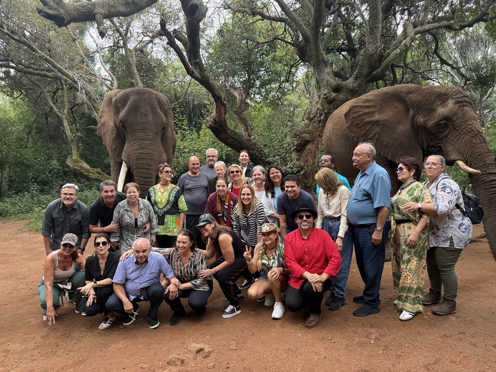 Grupo Rigue com elefantes na África do Sul