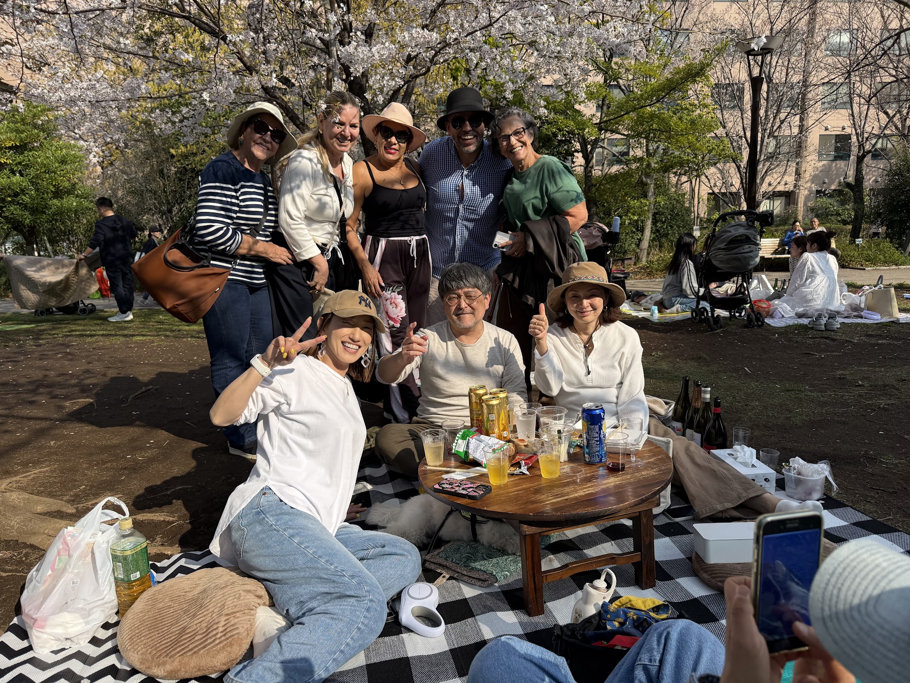Viajantes da Rigue em momento de hanami sob as cerejeiras no Japão
