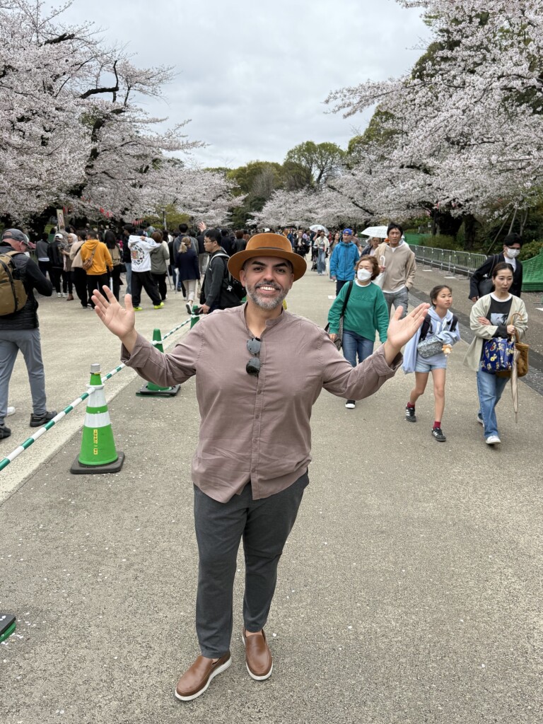 Viajante da Rigue em avenida com cerejeiras floridas no Japão
