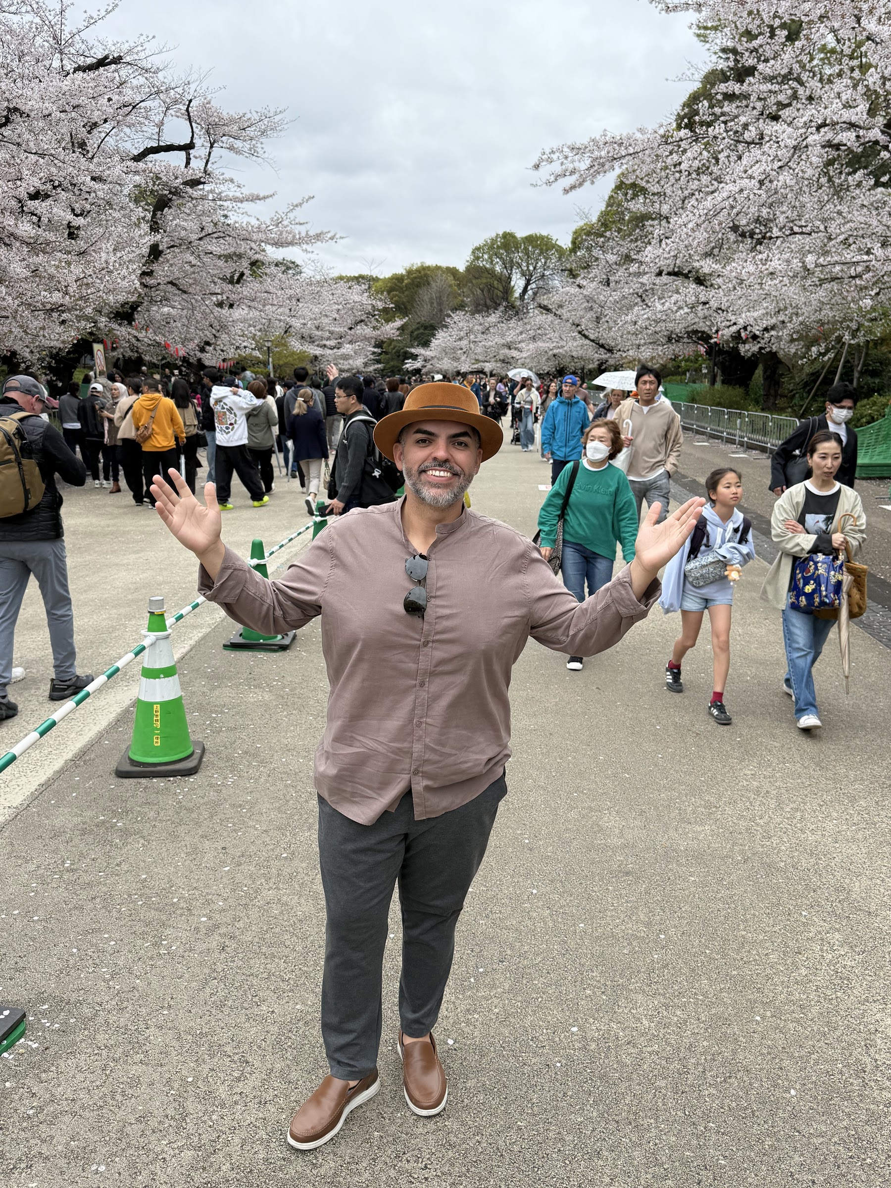 Viajante da Rigue em avenida com cerejeiras floridas no Japão